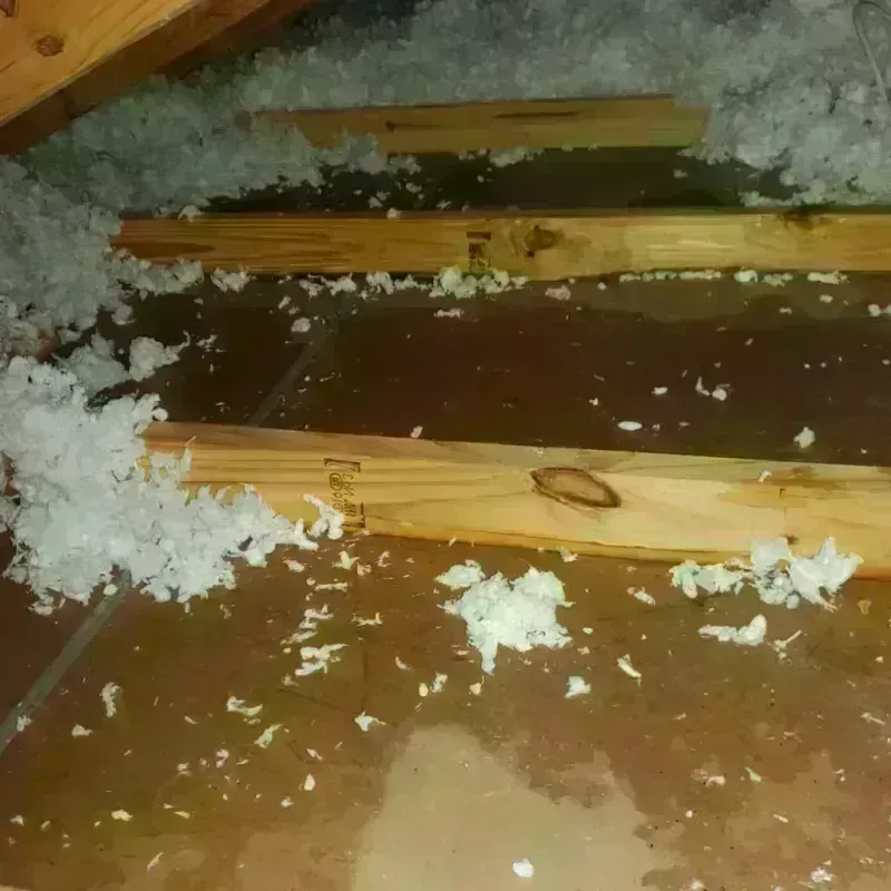 Attic Water Damage in Ahtanum, WA