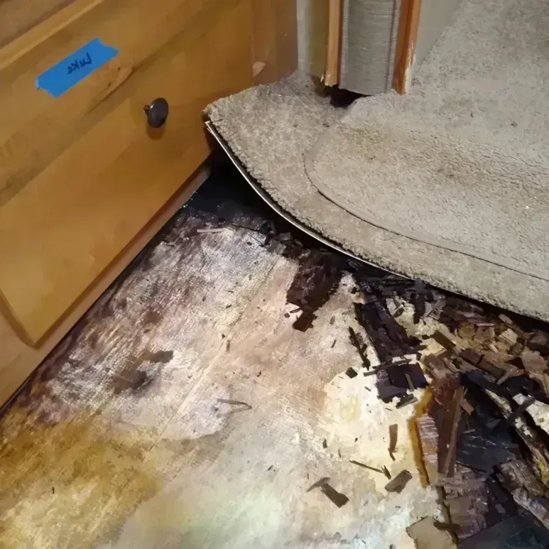 Wood Floor Water Damage in Ahtanum, WA